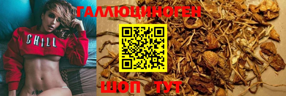 где купить наркотик  Псилоцибиновые грибы MAGIC MUSHROOMS  Вход с VPN  Нерюнгри  Псилоцибиновые грибы мицелий 