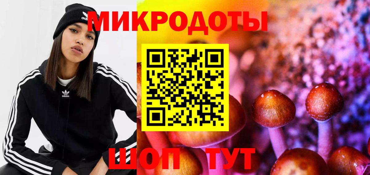 Галлюциногенные грибы Psilocybine cubensis Нерюнгри